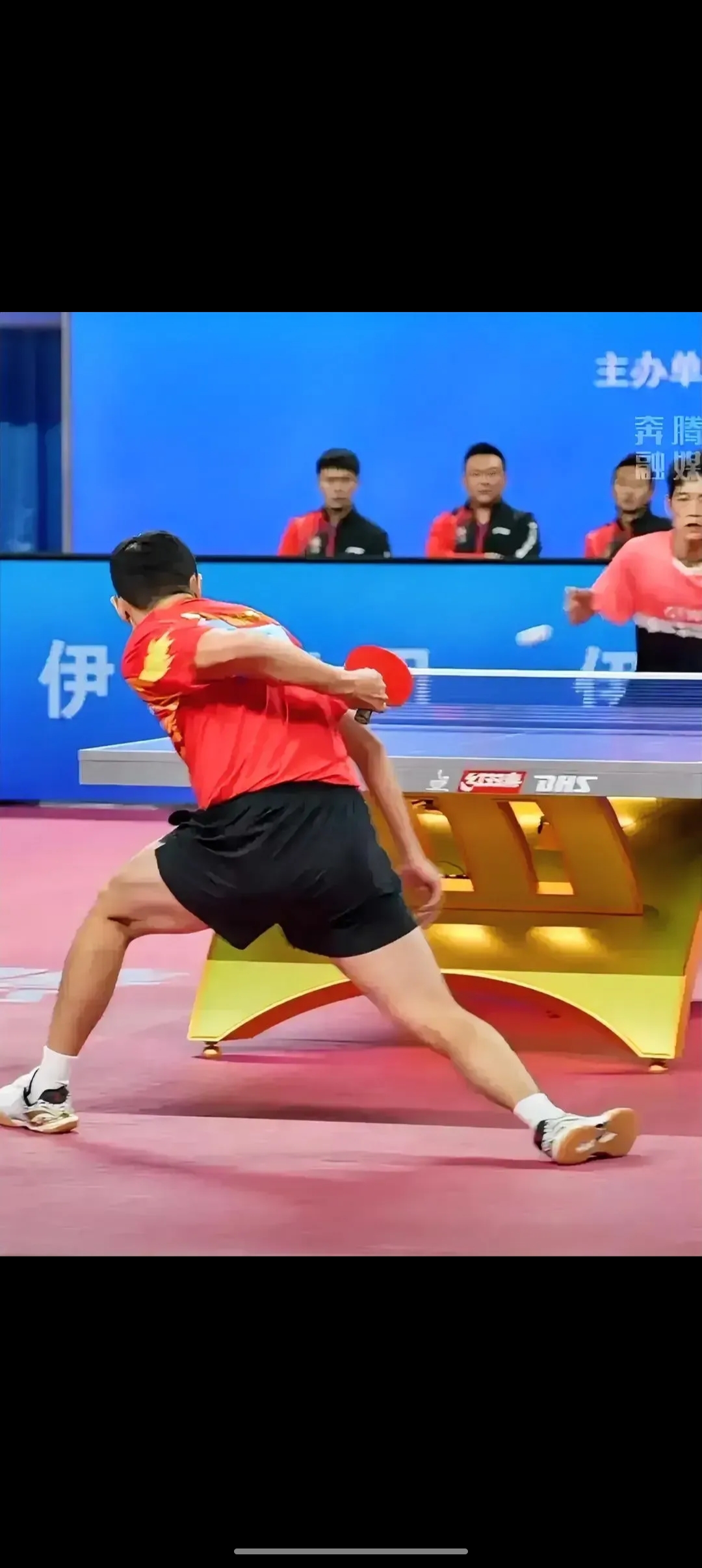 关于中国队鏖战波兰队，许昕高光表现的信息