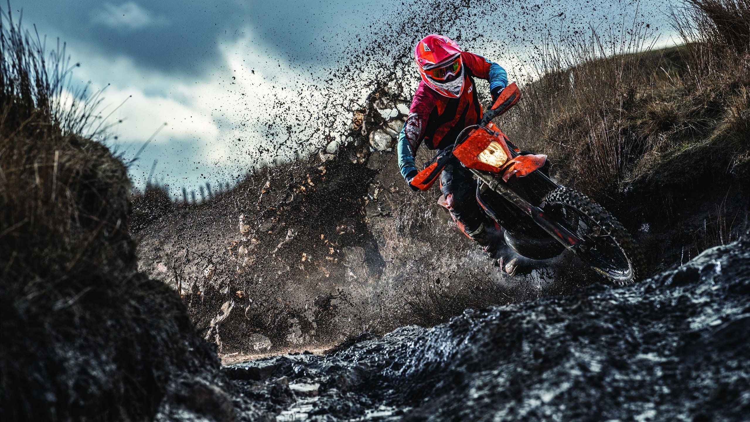 年终的加冕，穆雷在ATP总决赛的完胜，为何比法网冠军更具关键意义？